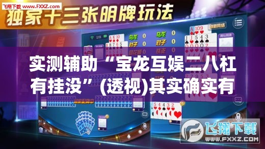 实测辅助“宝龙互娱二八杠有挂没”(透视)其实确实有挂
