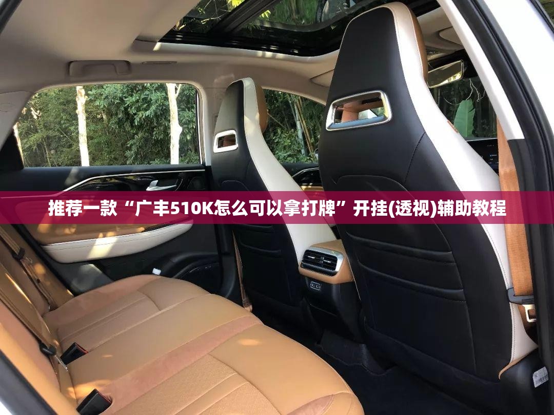 推荐一款“广丰510K怎么可以拿打牌”开挂(透视)辅助教程
