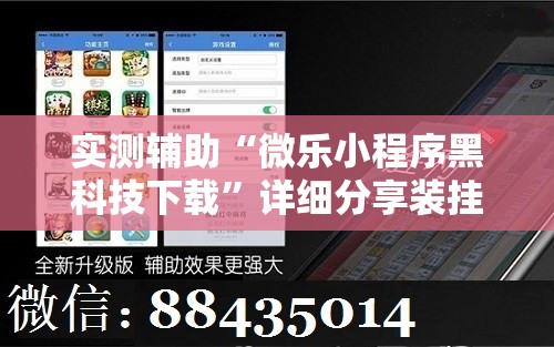 实测辅助“微乐小程序黑科技下载	”详细分享装挂步骤
