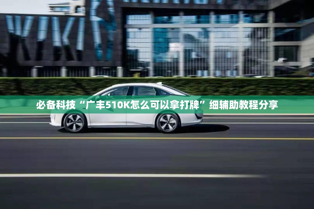 必备科技“广丰510K怎么可以拿打牌”细辅助教程分享
