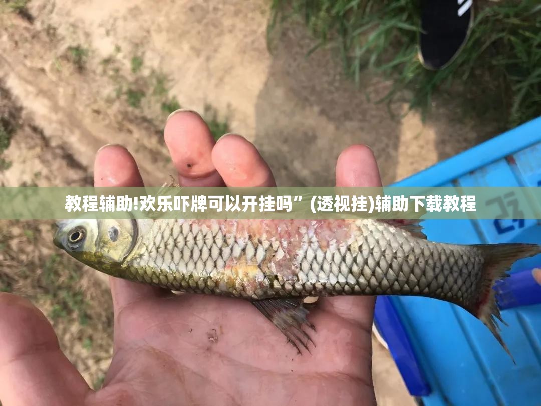 教程辅助!欢乐吓牌可以开挂吗”(透视挂)辅助下载教程