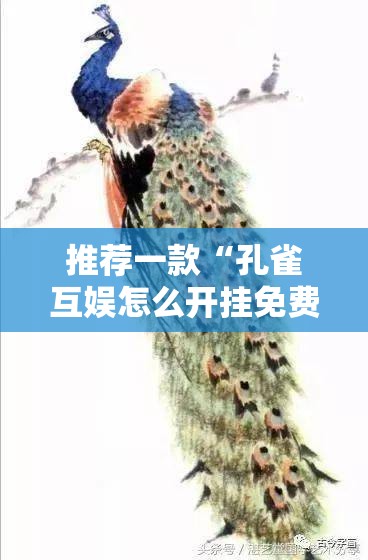 推荐一款“孔雀互娱怎么开挂免费”详细开挂教程