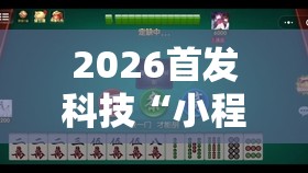 2026首发科技“小程序微乐麻将为什么总是输	”开挂辅助脚本+详细开挂安装教程
