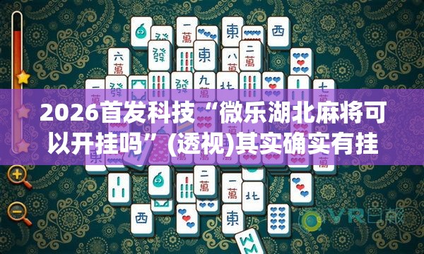 2026首发科技“微乐湖北麻将可以开挂吗”(透视)其实确实有挂