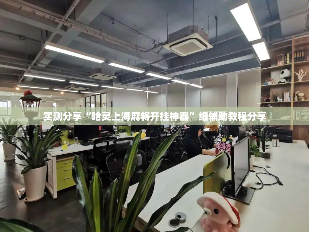 实测分享“哈灵上海麻将开挂神器”细辅助教程分享