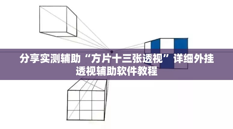 分享实测辅助“方片十三张透视”详细外挂透视辅助软件教程