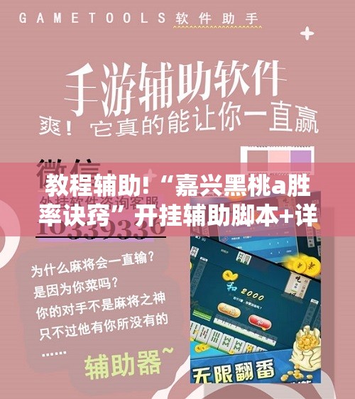 教程辅助!“嘉兴黑桃a胜率诀窍”开挂辅助脚本+详细开挂安装教程