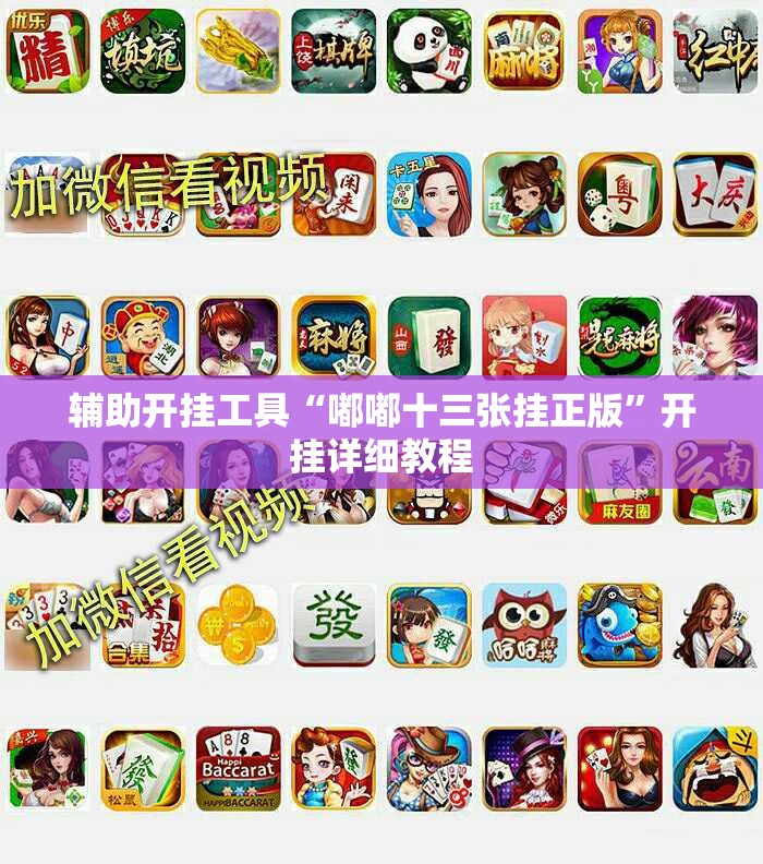 辅助开挂工具“嘟嘟十三张挂正版”开挂详细教程