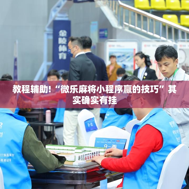 教程辅助!“微乐麻将小程序赢的技巧	”其实确实有挂