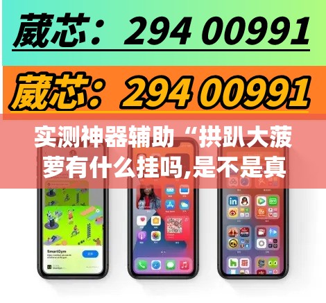 实测神器辅助“拱趴大菠萝有什么挂吗,是不是真的(透视)”开挂辅助脚本+详细开挂安装教程