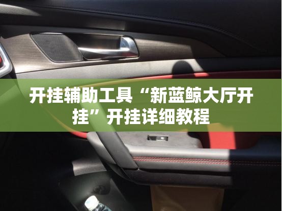 开挂辅助工具“新蓝鲸大厅开挂	”开挂详细教程