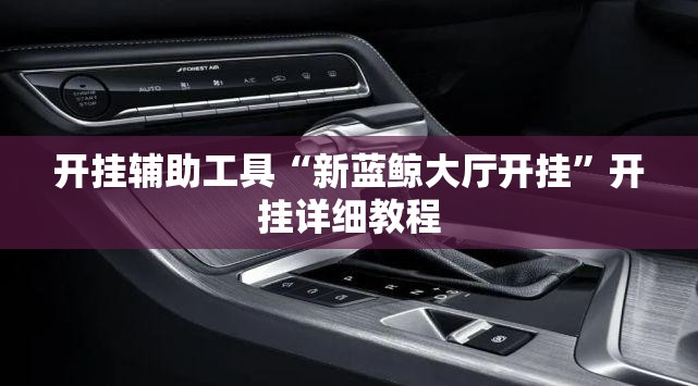 开挂辅助工具“新蓝鲸大厅开挂”开挂详细教程