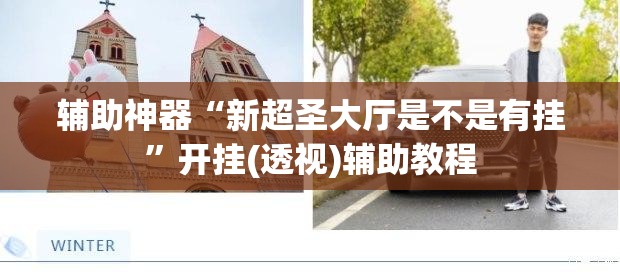 辅助神器“新超圣大厅是不是有挂”开挂(透视)辅助教程