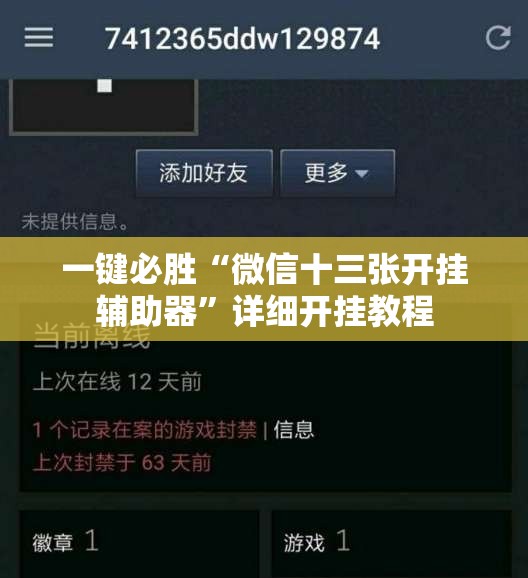 一键必胜“微信十三张开挂辅助器	”详细开挂教程