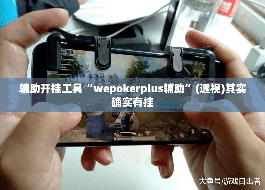 辅助开挂工具“wepokerplus辅助”(透视)其实确实有挂