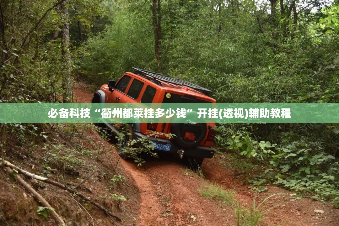 必备科技“衢州都莱挂多少钱”开挂(透视)辅助教程