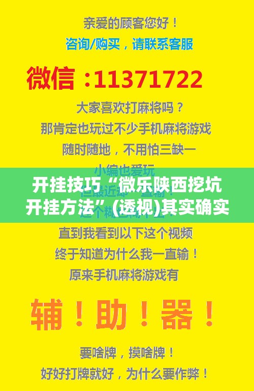 开挂技巧“微乐陕西挖坑开挂方法”(透视)其实确实有挂