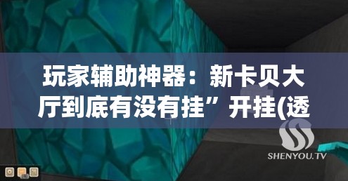 玩家辅助神器：新卡贝大厅到底有没有挂”开挂(透视)辅助教程