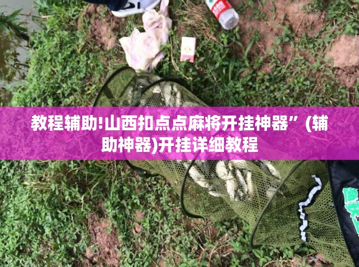 教程辅助!山西扣点点麻将开挂神器”(辅助神器)开挂详细教程