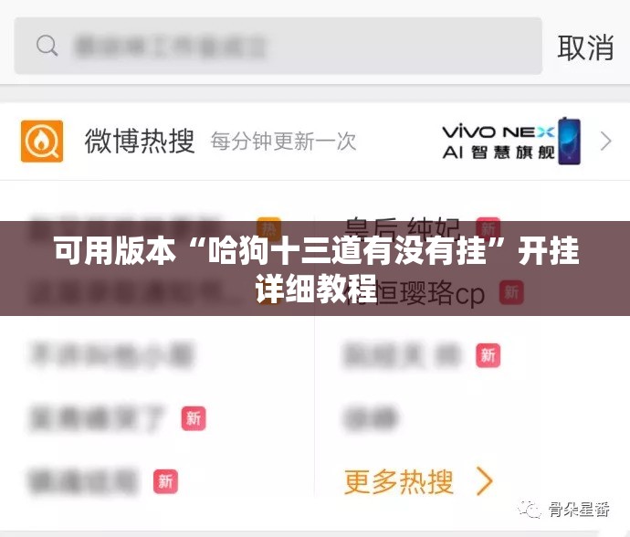 可用版本“哈狗十三道有没有挂”开挂详细教程