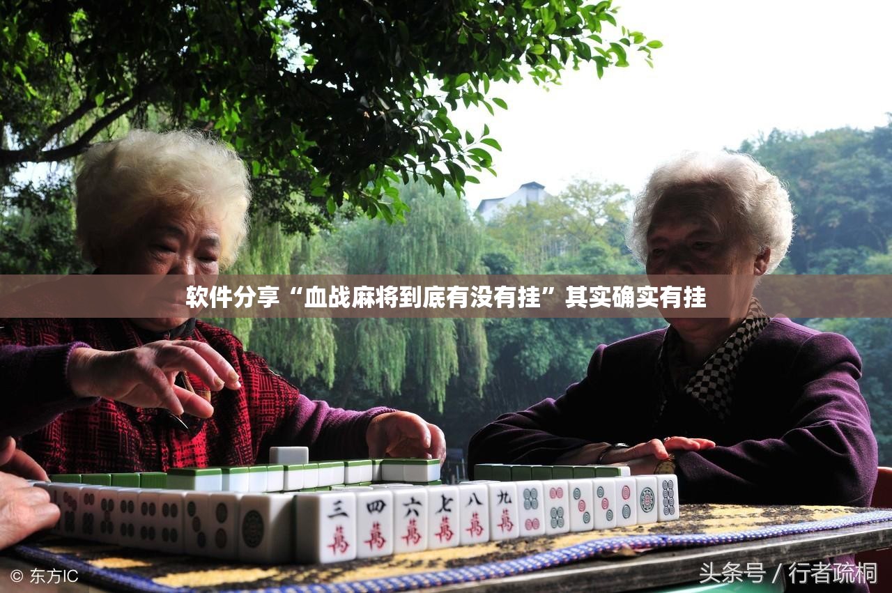 软件分享“血战麻将到底有没有挂”其实确实有挂