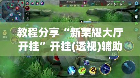 教程分享“新荣耀大厅开挂”开挂(透视)辅助神器