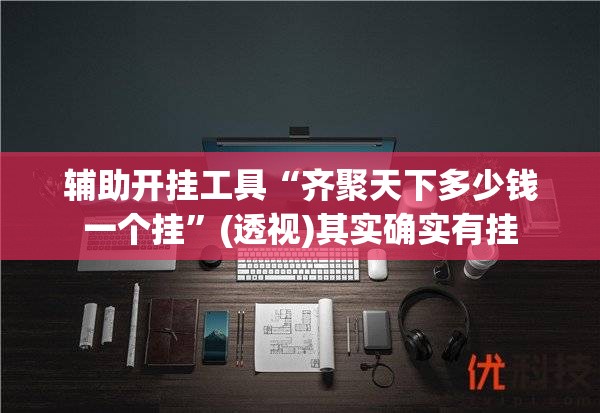 辅助开挂工具“齐聚天下多少钱一个挂”(透视)其实确实有挂