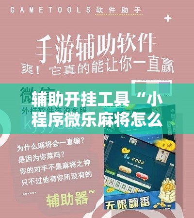 辅助开挂工具“小程序微乐麻将怎么开挂	”科技辅助神器手机版