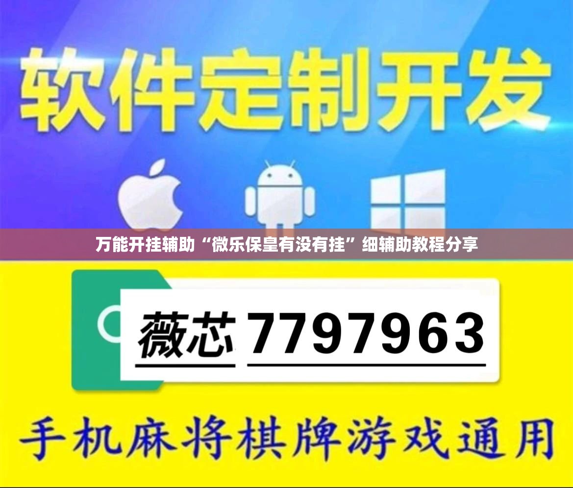 万能开挂辅助“微乐保皇有没有挂”细辅助教程分享