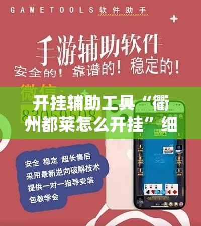开挂辅助工具“衢州都莱怎么开挂”细辅助教程分享