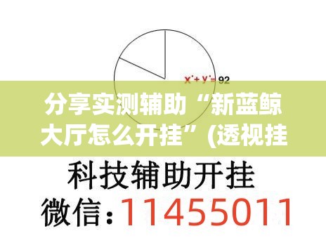 分享实测辅助“新蓝鲸大厅怎么开挂	”(透视挂)辅助下载教程