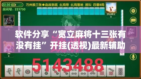 软件分享“宽立麻将十三张有没有挂”开挂(透视)最新辅助详细