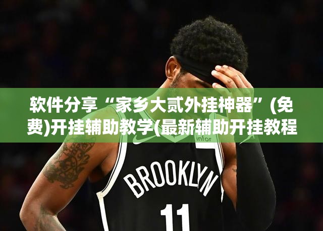 软件分享“家乡大贰外挂神器”(免费)开挂辅助教学(最新辅助开挂教程)