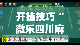 开挂技巧“微乐四川麻将有挂吗怎么买”开挂(透视)辅助教程