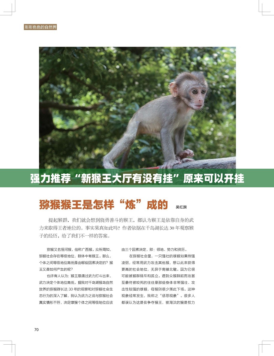 强力推荐“新猴王大厅有没有挂”原来可以开挂