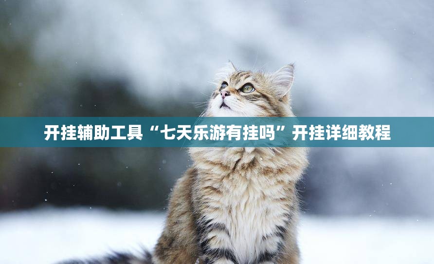 开挂辅助工具“七天乐游有挂吗”开挂详细教程