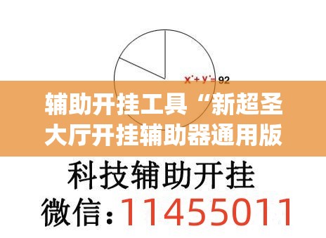辅助开挂工具“新超圣大厅开挂辅助器通用版”开挂(透视)辅助神器