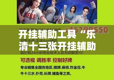 开挂辅助工具“乐清十三张开挂辅助器通用版”细辅助教程分享