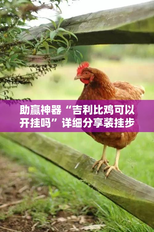助赢神器“吉利比鸡可以开挂吗	”详细分享装挂步骤