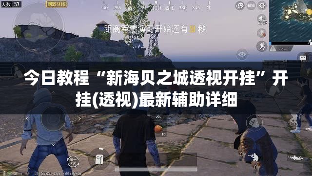今日教程“新海贝之城透视开挂	”开挂(透视)最新辅助详细