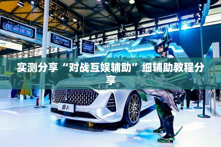 实测分享“对战互娱辅助”细辅助教程分享
