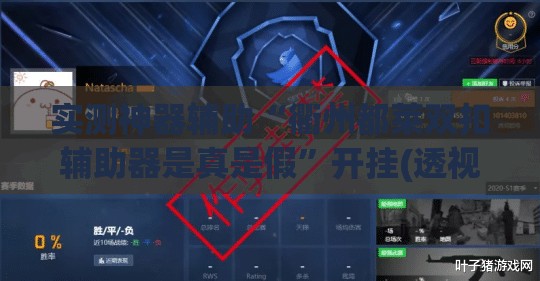 实测神器辅助“衢州都莱双扣辅助器是真是假”开挂(透视)辅助教程