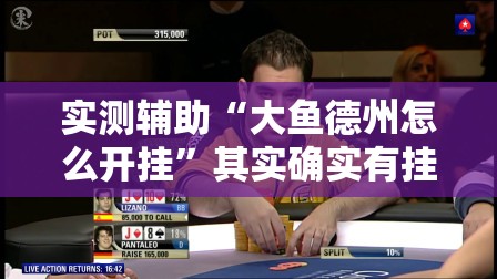 实测辅助“大鱼德州怎么开挂	”其实确实有挂