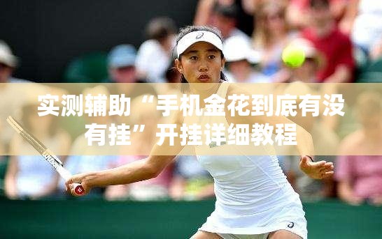 实测辅助“手机金花到底有没有挂”开挂详细教程