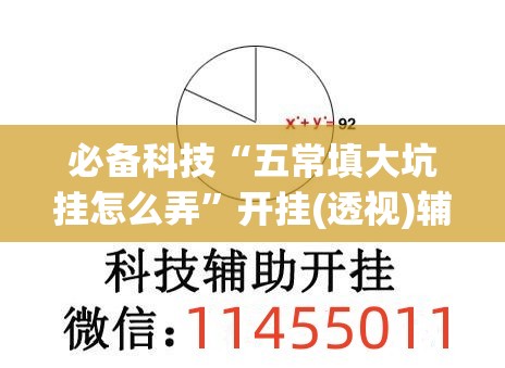 必备科技“五常填大坑挂怎么弄	”开挂(透视)辅助教程