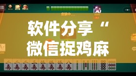 软件分享“微信捉鸡麻将到底有没有挂”详细分享装挂步骤