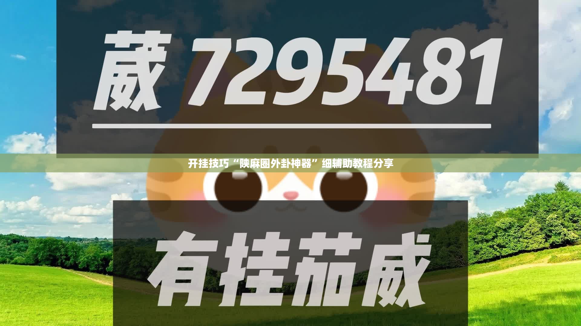 开挂技巧“陕麻圈外卦神器”细辅助教程分享