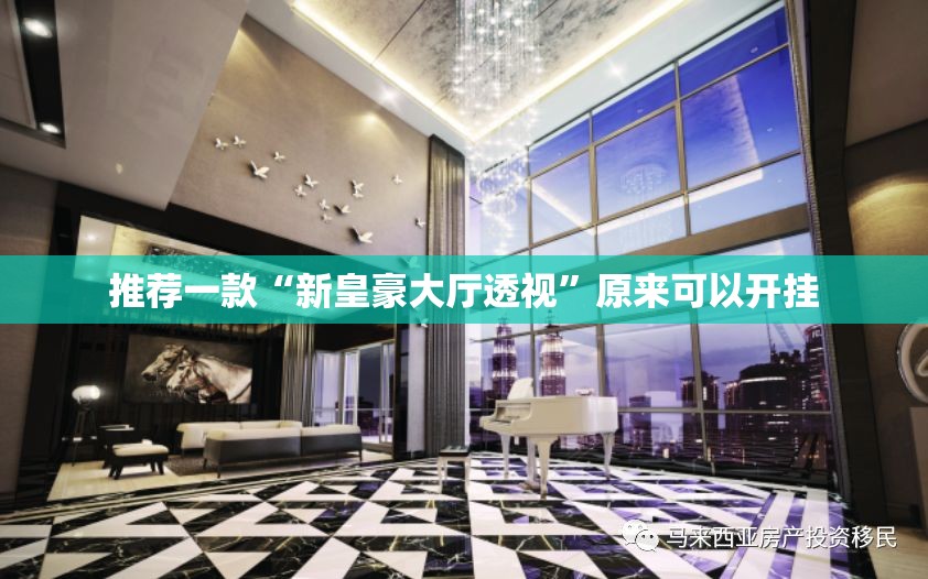 推荐一款“新皇豪大厅透视”原来可以开挂