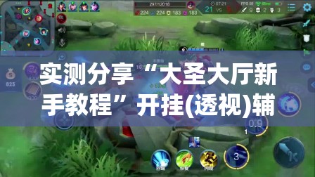 实测分享“大圣大厅新手教程”开挂(透视)辅助神器