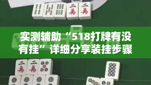 实测辅助“518打牌有没有挂”详细分享装挂步骤